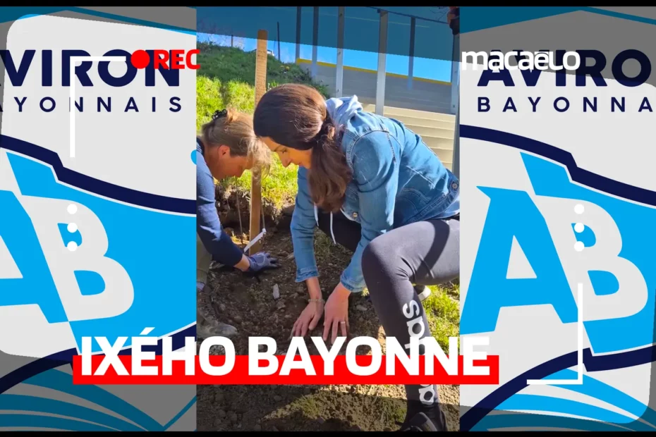 🏉 GROUPE IXÉHO // AVIRON BAYONNAIS RUGBY | Un partenariat qui prend racine !